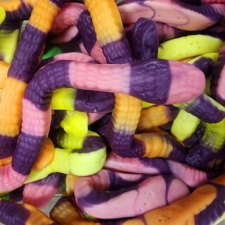 Serpientes Anaconda XL