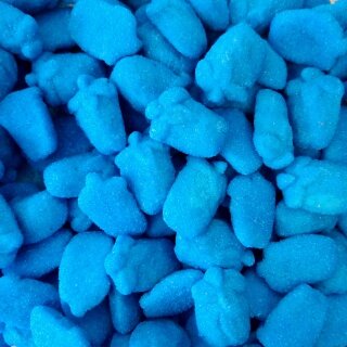 Framboises bleues aérées fouettées